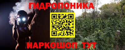 jwh Пушкино